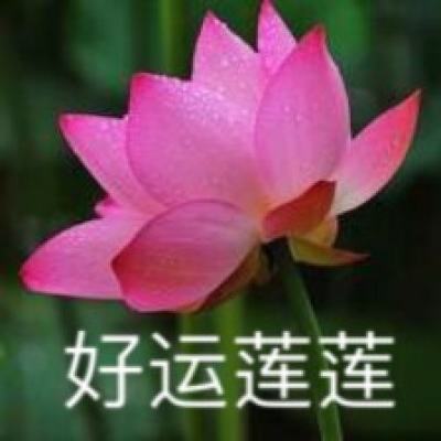 人民网“领导留言板”牵手上海“人民建议征集”共启新征程